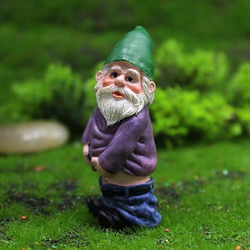 4pcs Fairy Garden Gnomes Miniature Ornaments Set for Flower Pot Decor