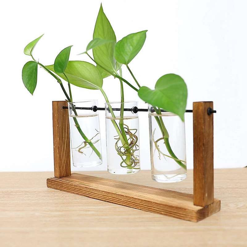 Terrarium Hydroponic Plant Transparent Vase Wooden Frame Vase
