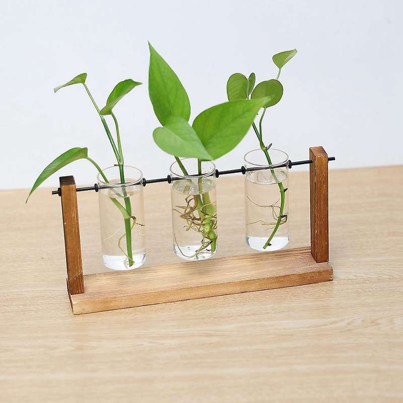 Terrarium Hydroponic Plant Transparent Vase Wooden Frame Vase