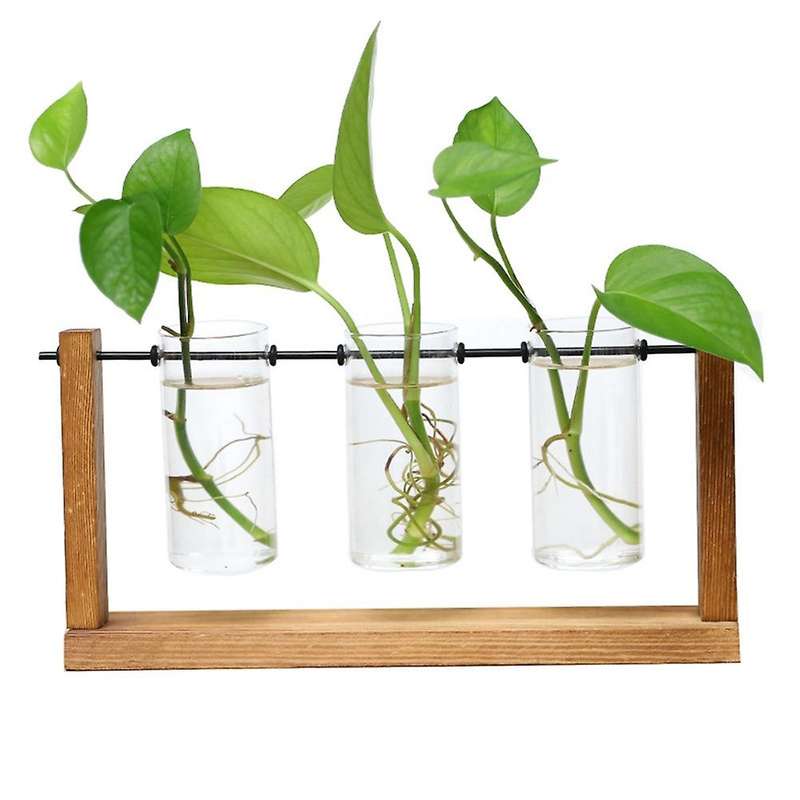 Terrarium Hydroponic Plant Transparent Vase Wooden Frame Vase