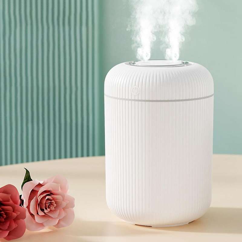 Simple Household Desktop Double-spray Large-capacity B