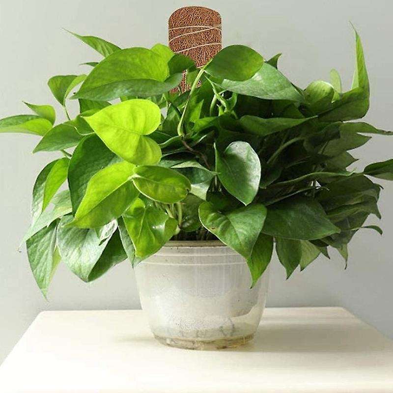 45cm Plant Support Totem Pole Coir Moss Stick for Creepers Plant 5pcs