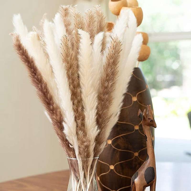 Dried Pampas Grass,natural Dried Pampas Grass,fluffy Pampas for Boho