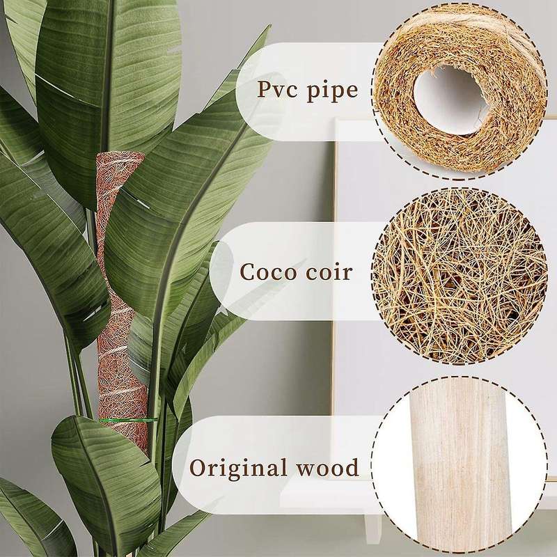 Moss Pole for Climbing Plant 4 Pack 15.7 Inch Coir Pole for Plants