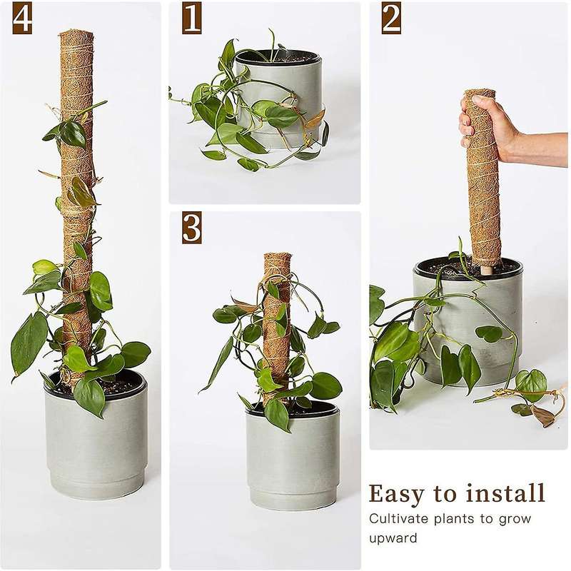 Moss Pole for Climbing Plant 4 Pack 15.7 Inch Coir Pole for Plants