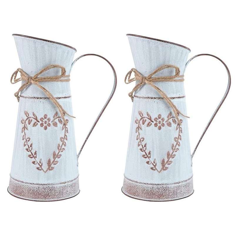 2pcs Galvanized Flower Pot for Home Table Decoration Small Leaf Heart