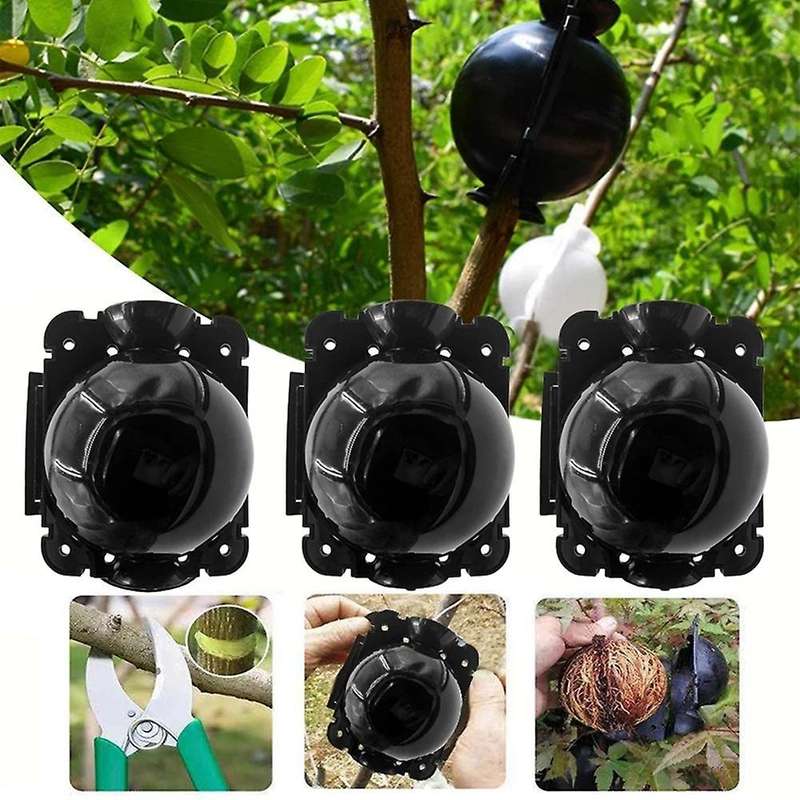 Reusable Plant Rooting Equipment Kit Cutting Grafting Rooting Box