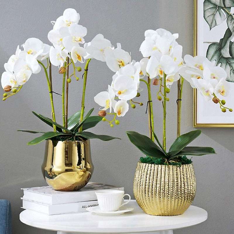 10 Pcs Artificial Phalaenopsis Orchids Leaves 11 Inches Leaf (10 Pcs)
