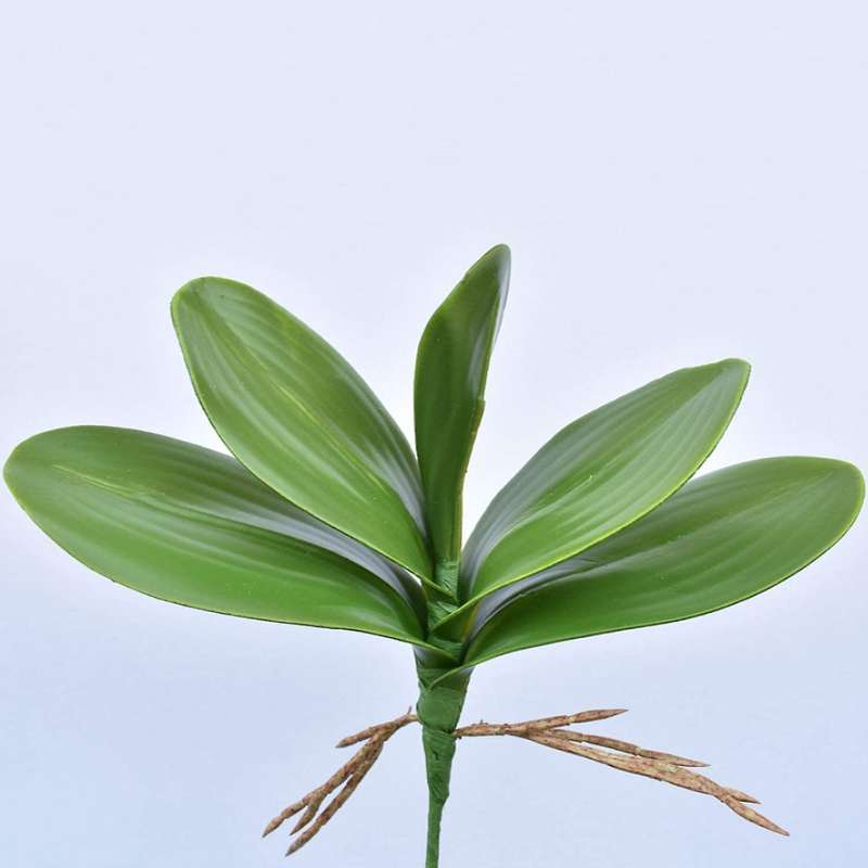10 Pcs Artificial Phalaenopsis Orchids Leaves 11 Inches Leaf (10 Pcs)