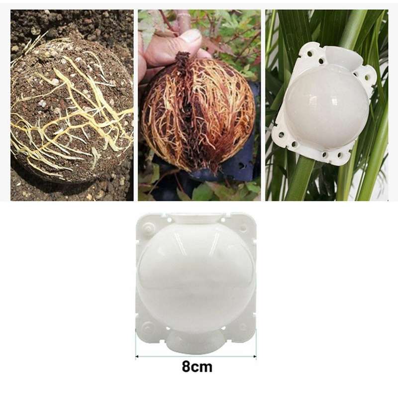 20pcs Reusable Plant Rooting Equipment Kit (8cm)