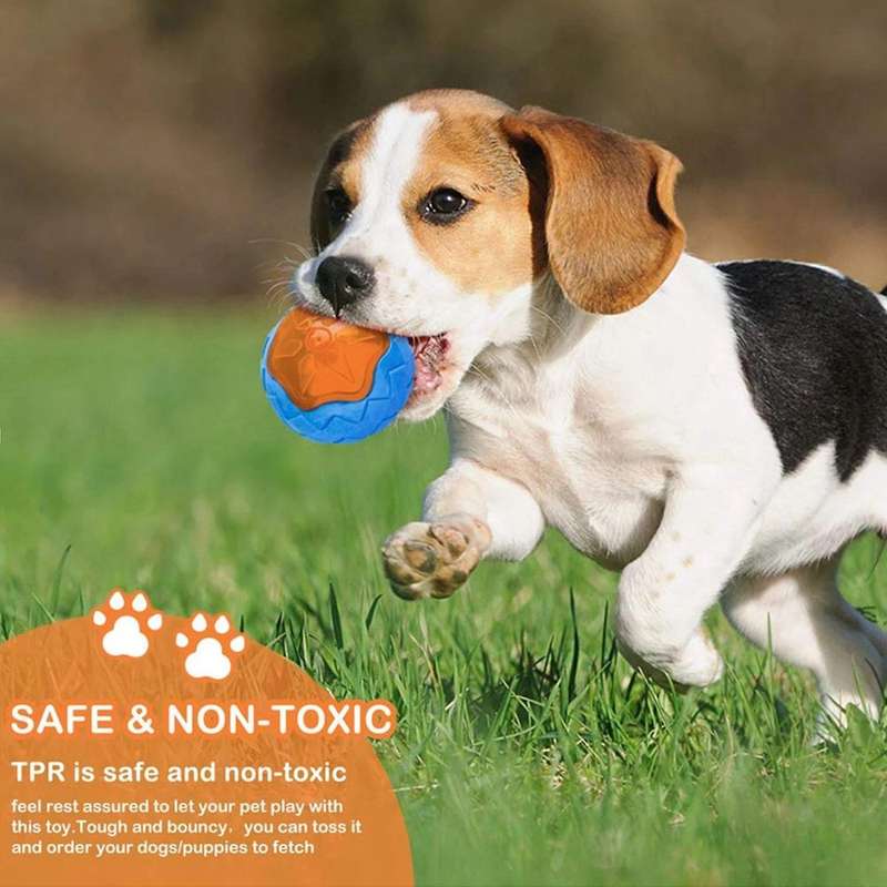 Dog Toys Ball Interactive Play Floating Toy for Small Large Dogs