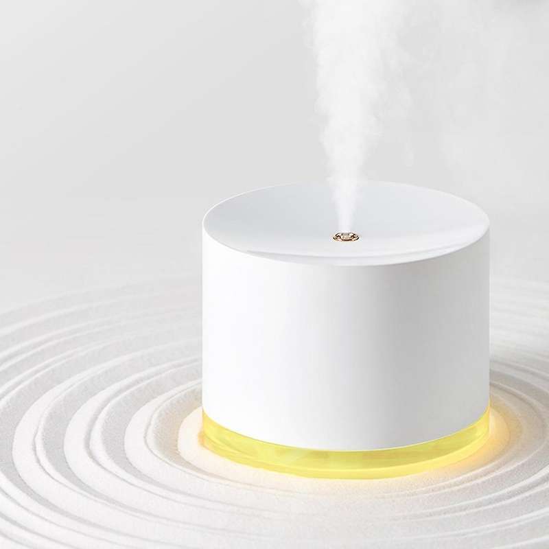 Bedroom Humidifier, 780ml with Night Light for Office Bedroom,2 Spray