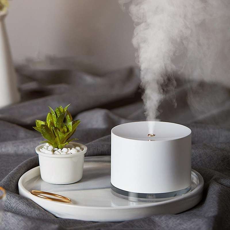 Bedroom Humidifier, 780ml with Night Light for Office Bedroom,2 Spray