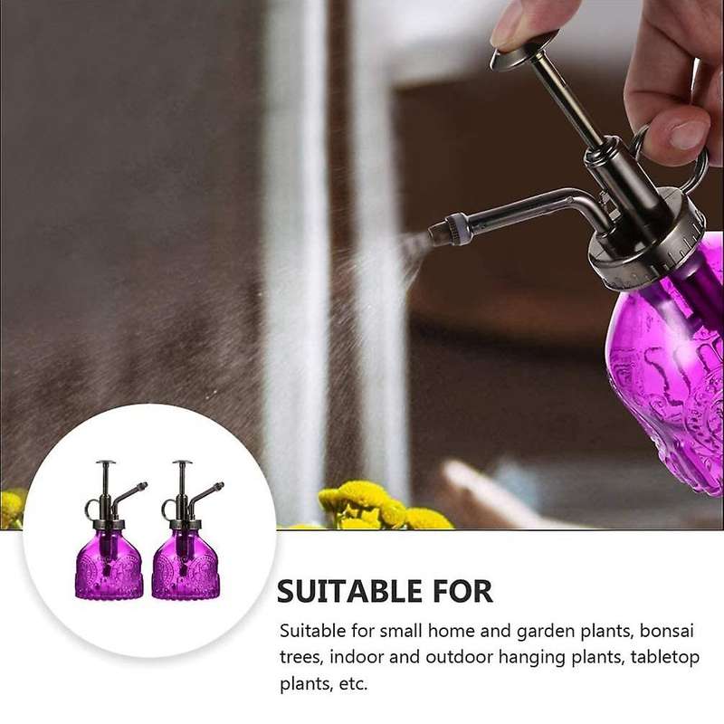 Glass Spray Bottle Retro Style Sprinkler Indoor Plant Spray Bottle