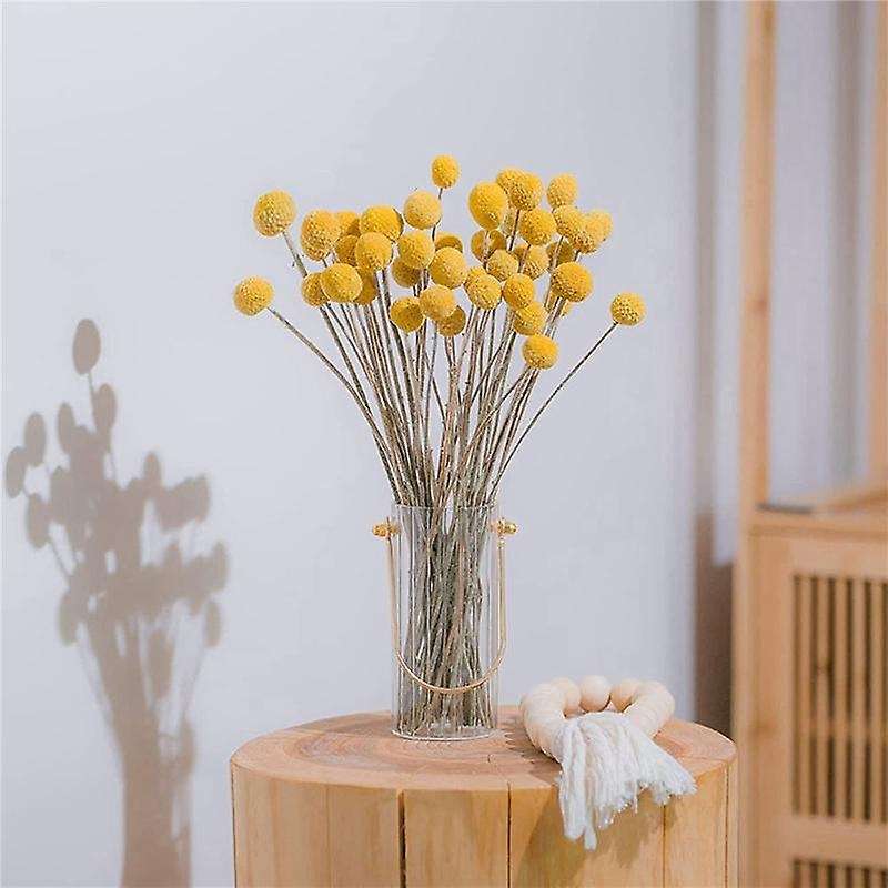 80pcs Dried Craspedia Flowers Dried Billy Button Balls Flowers
