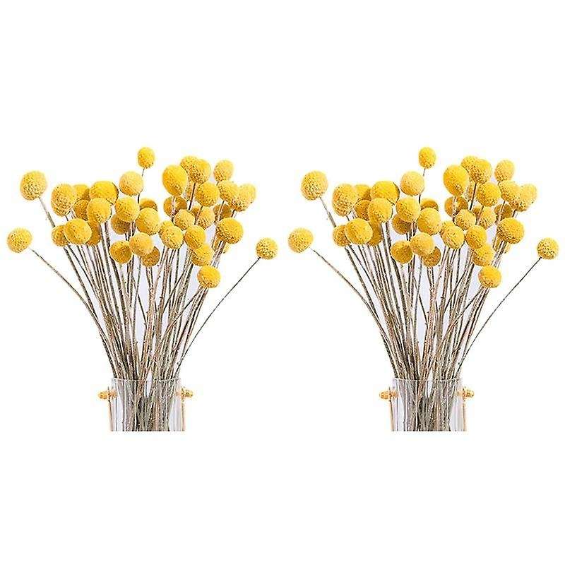 80pcs Dried Craspedia Flowers Dried Billy Button Balls Flowers