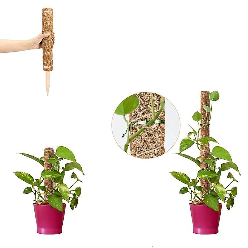 4 Pcs 15.7 Inch Coir Moss Totem Pole for Creepers Plant Support