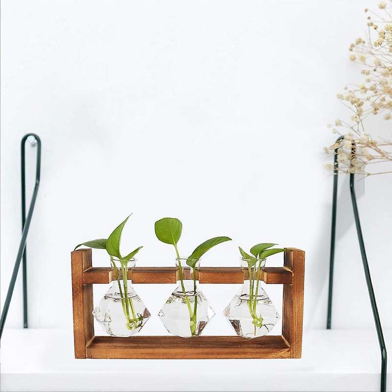 Desktop Plant Propagation Stations, with Stand for Hydroponics