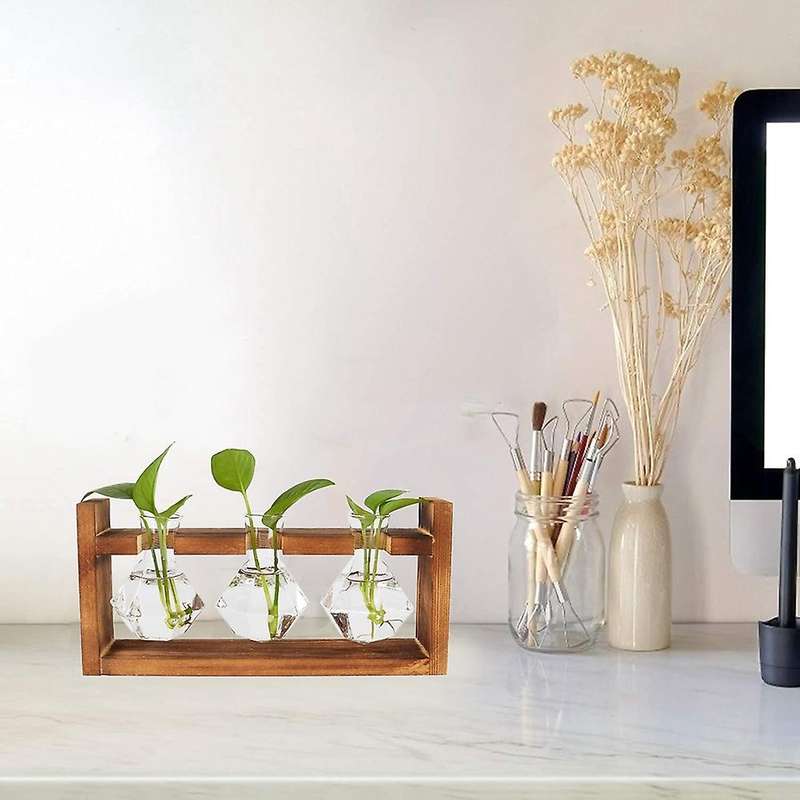 Desktop Plant Propagation Stations, with Stand for Hydroponics