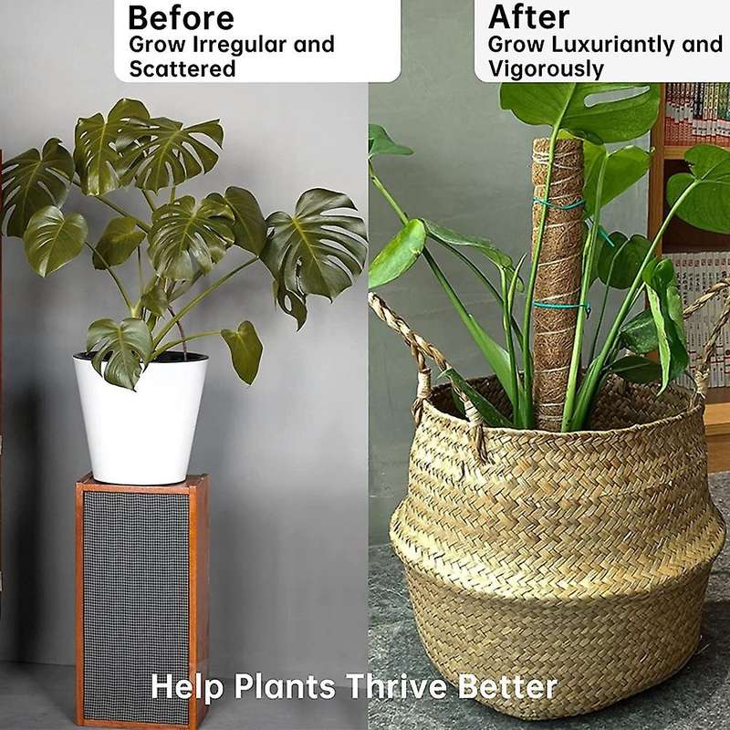 Moss Pole,moss Pole for Plants Monstera,moss Poles for Climbing