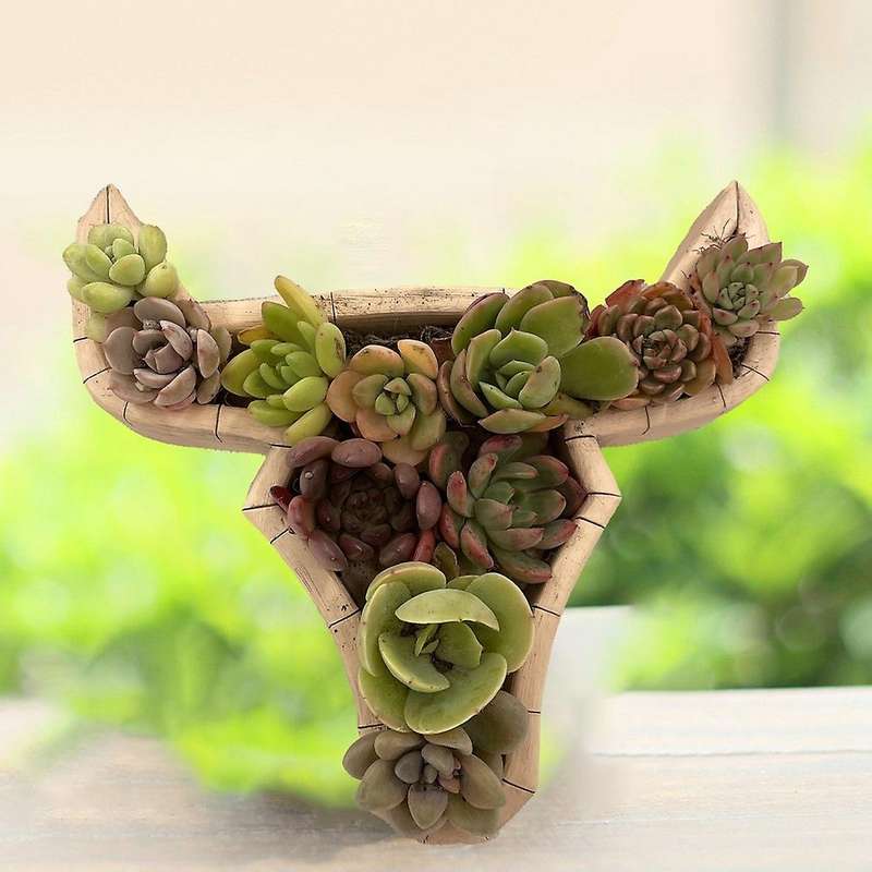 Animal Cow Model Decor Resin Succulent Flower Pot