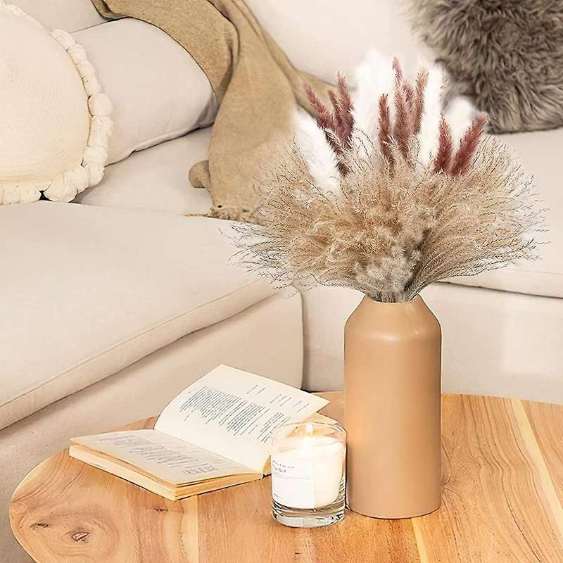 Natural Dried Pampas Grass Bouquet, 74pcs Dried Pompous Grass Decor