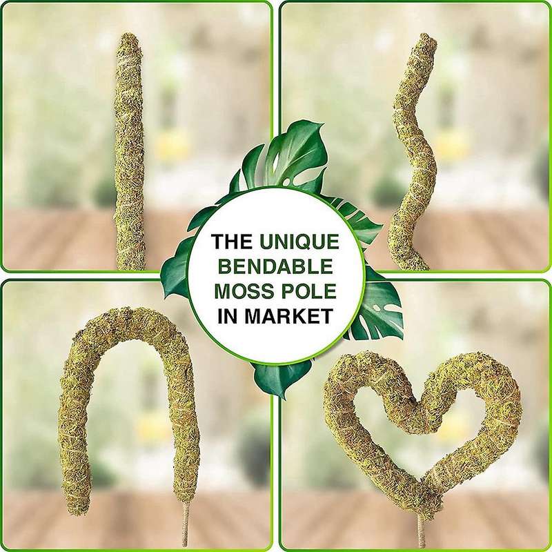 2 Pack 25 Inch Real Moss Pole for Monstera Plant Stakes, Sphagnum