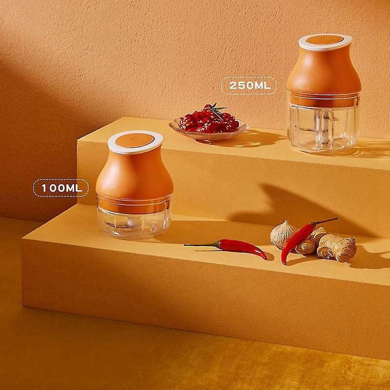 Electric Garlic Chopper 250ml Mini Food Processor Presses Blender