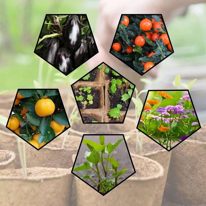 24 Packs Biodegradable Seed Starter Tray, 12 Cells Seed Starter Pots