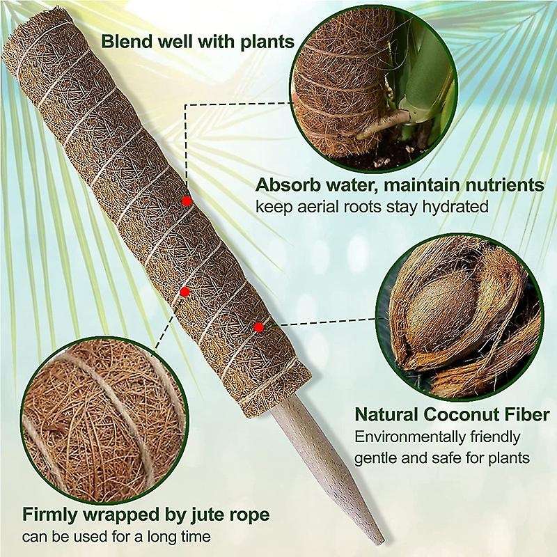 Moss Pole , Monstera Coir Totem Pole 4 Pack, 30cm and 40cm Moss Poles