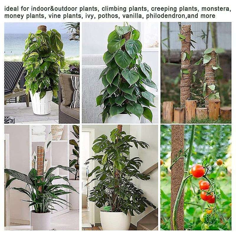 Moss Pole , Monstera Coir Totem Pole 4 Pack, 30cm and 40cm Moss Poles