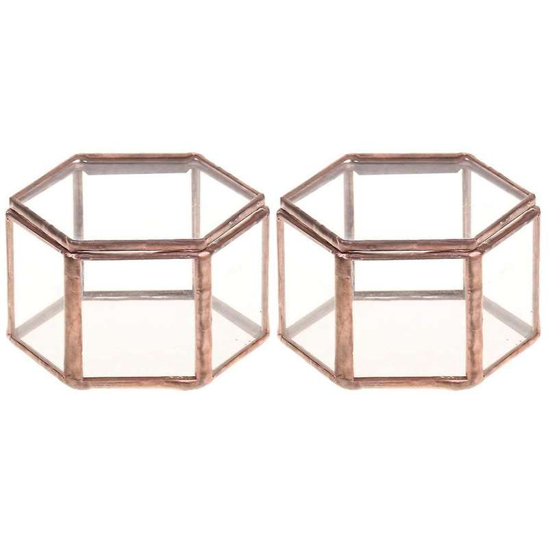 Geometrisches Glas Terrarium Schmuckschatulle Sukkulente Pflanzgef