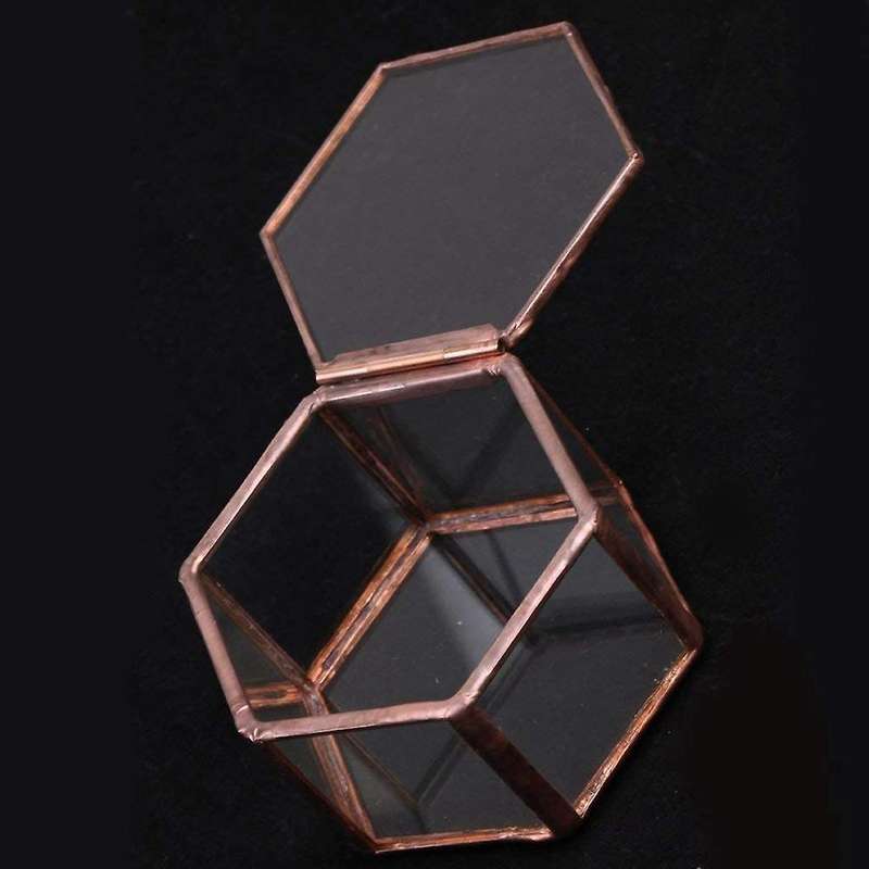 Geometrisches Glas Terrarium Schmuckschatulle Sukkulente Pflanzgef