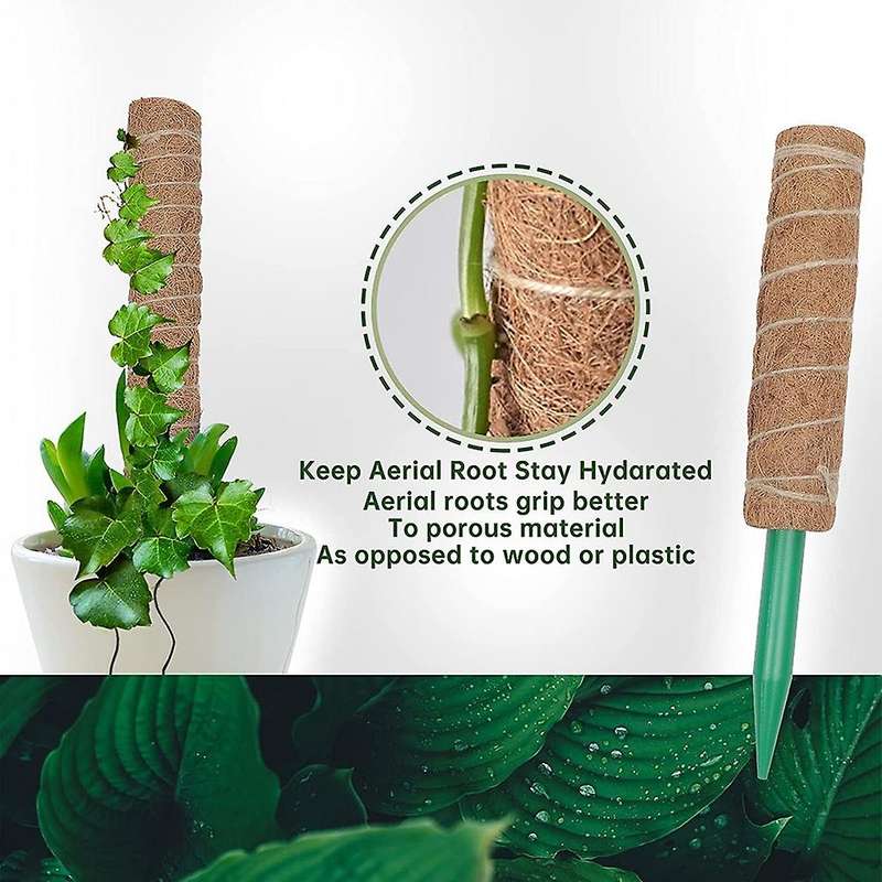 Moss Pole for Plants Monstera,moss Poles for Climbing Plants