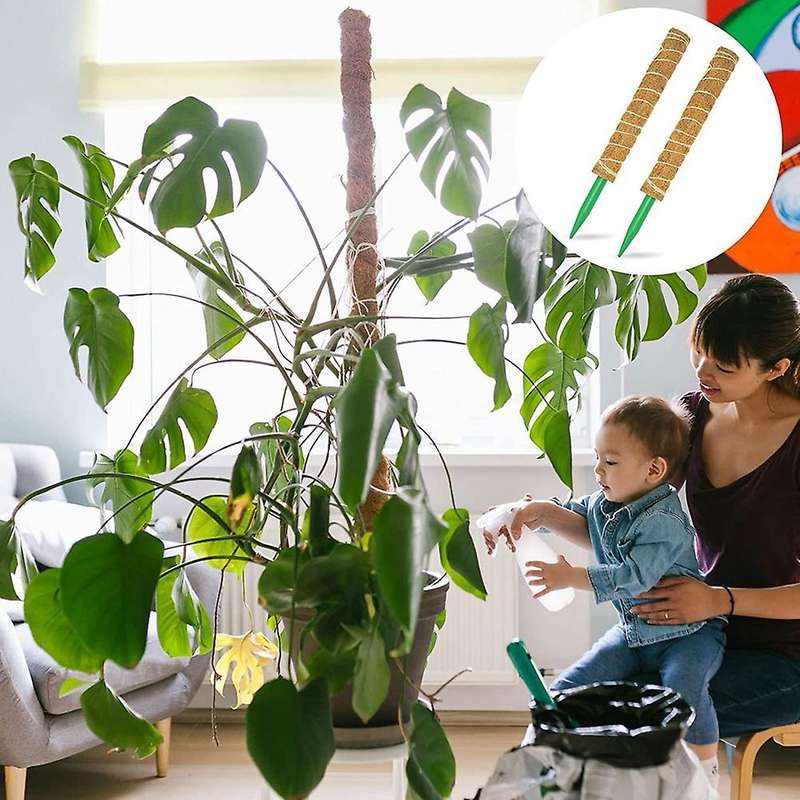 Moss Pole for Plants Monstera,moss Poles for Climbing Plants
