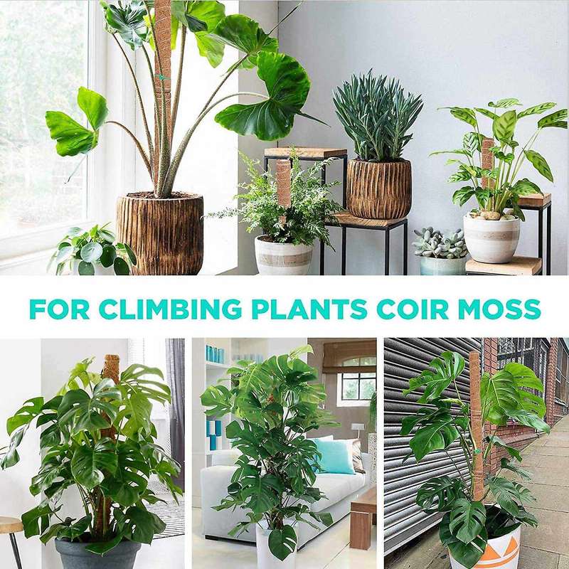 4 Pack Coir Totem Poles with Gardening Tool Set&98.4 Feet Garden Ties