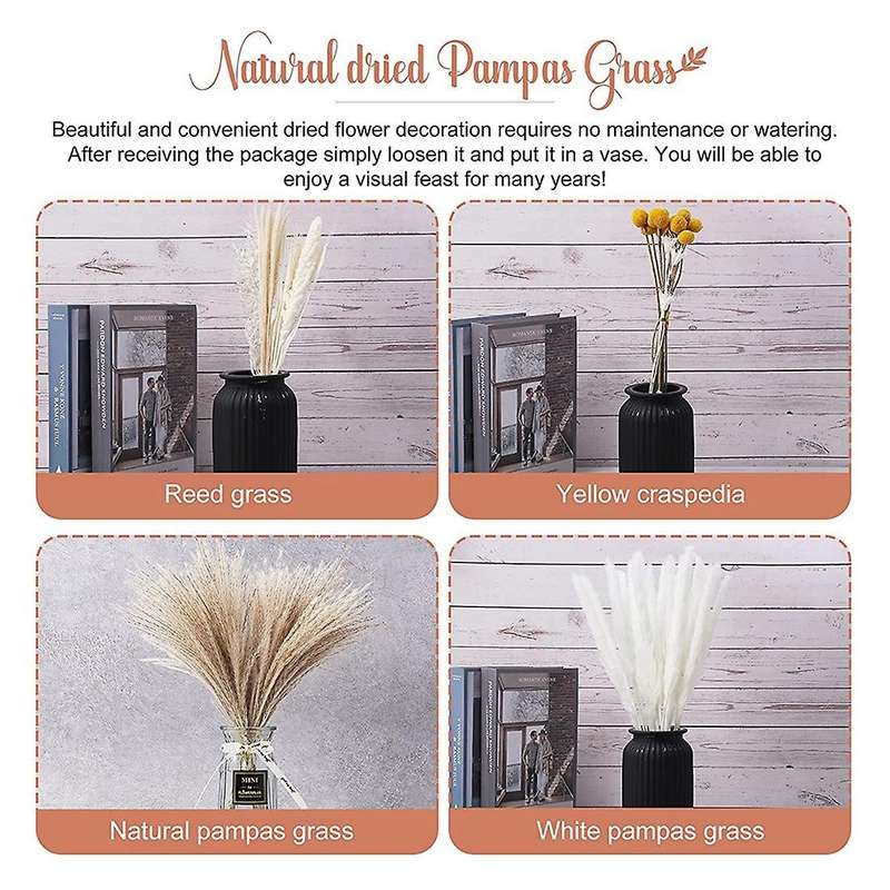 100pcs Dried Flowers 10 Kinds Pampas Grass 17.32 Inch Decor