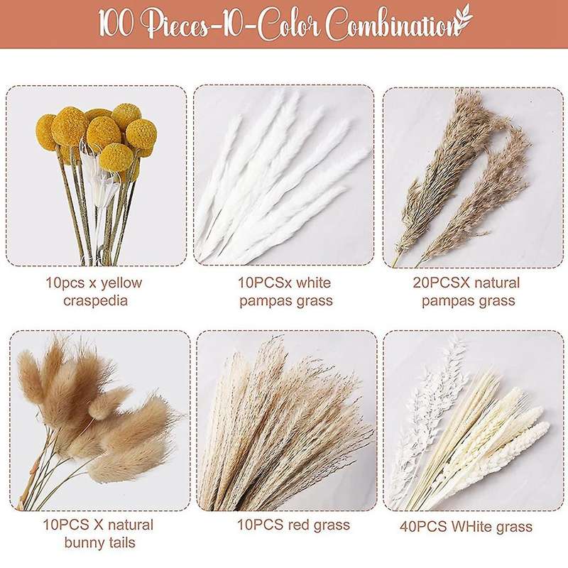 100pcs Dried Flowers 10 Kinds Pampas Grass 17.32 Inch Decor
