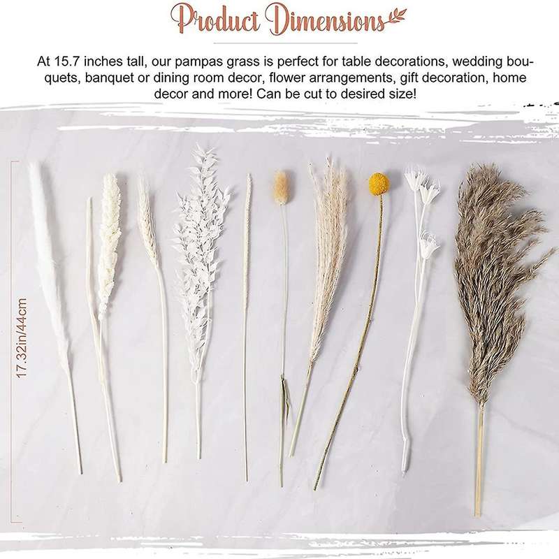 100pcs Dried Flowers 10 Kinds Pampas Grass 17.32 Inch Decor