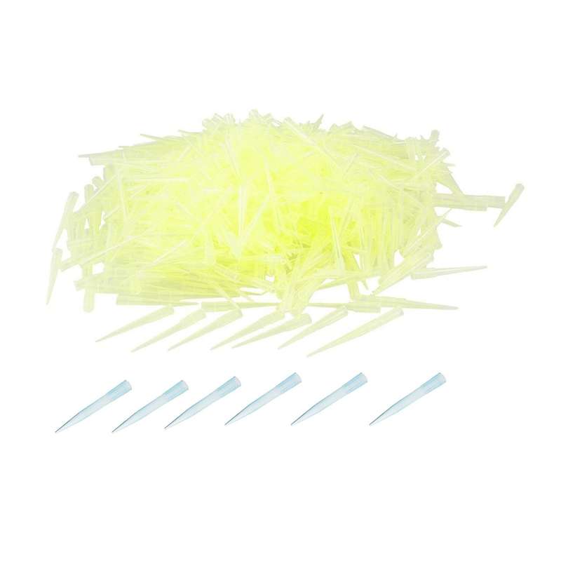 Blue Transparent 1000ul 1ml Lab Liquid Pipette Pipettor Tips 500 Pcs