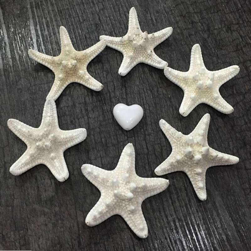2pcs Natural Starfish Sea Star Shell Making Diy Craft Decor