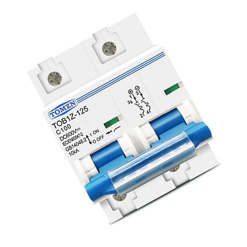 Tomzn 2p Dc Mcb 600v Circuit Breaker, 100a