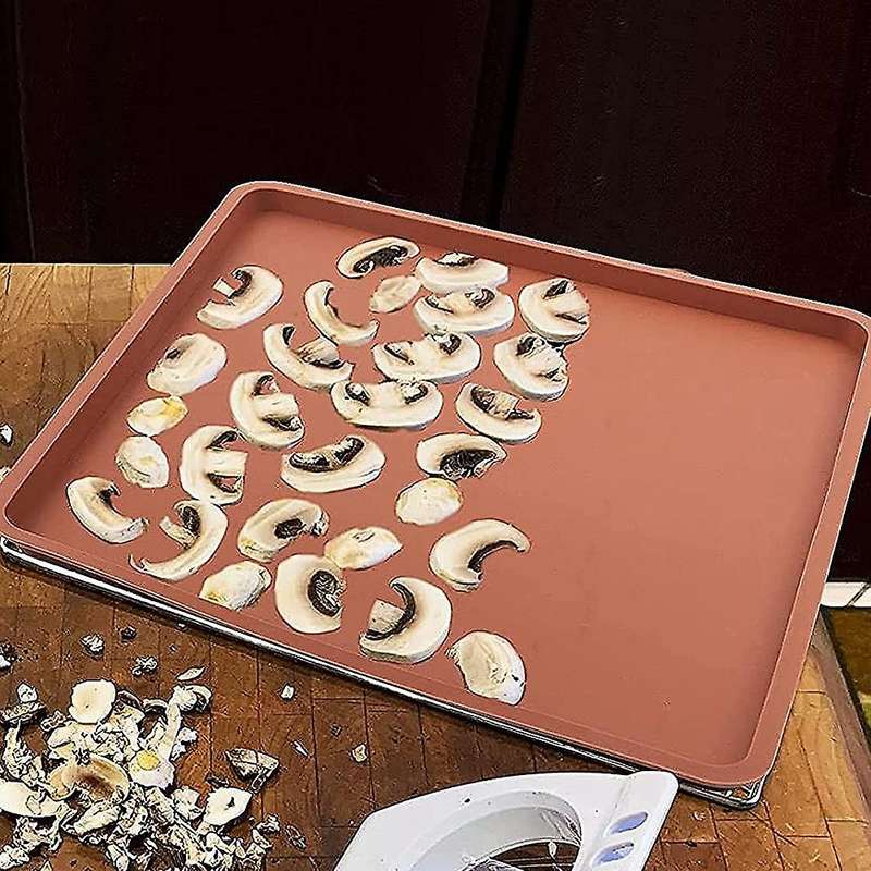 4pcs Silicone Dehydrator Mats with Edge - Silicone Sheets Compatible