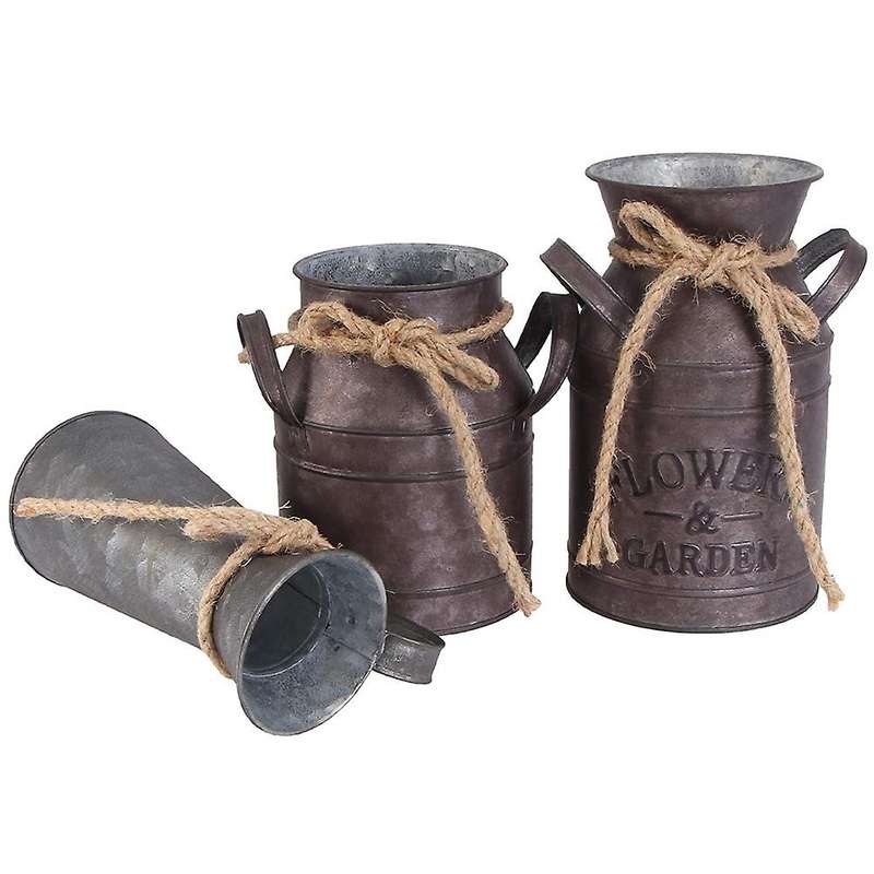 3pcs Vintage Flower Vase Iron House Style Decorative Vase Rustic