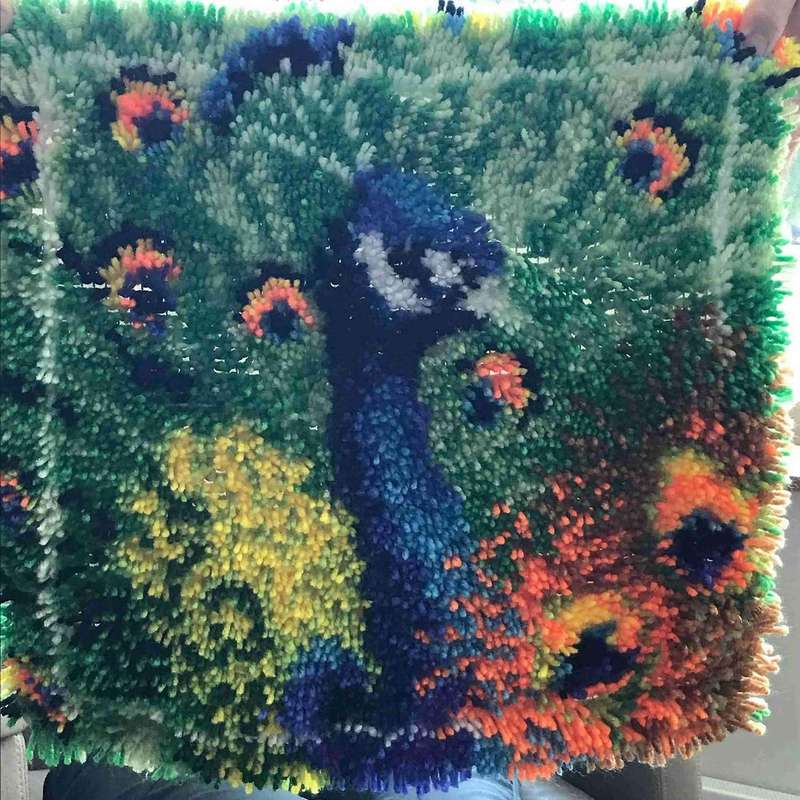 Latch Hook Kits for Diy Throw Pillow Cover, for Great Family Peacock