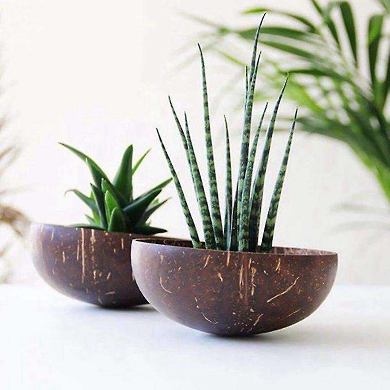7pcs 12-15cm Coconut Bowl Handmade Coconut Shell Tableware