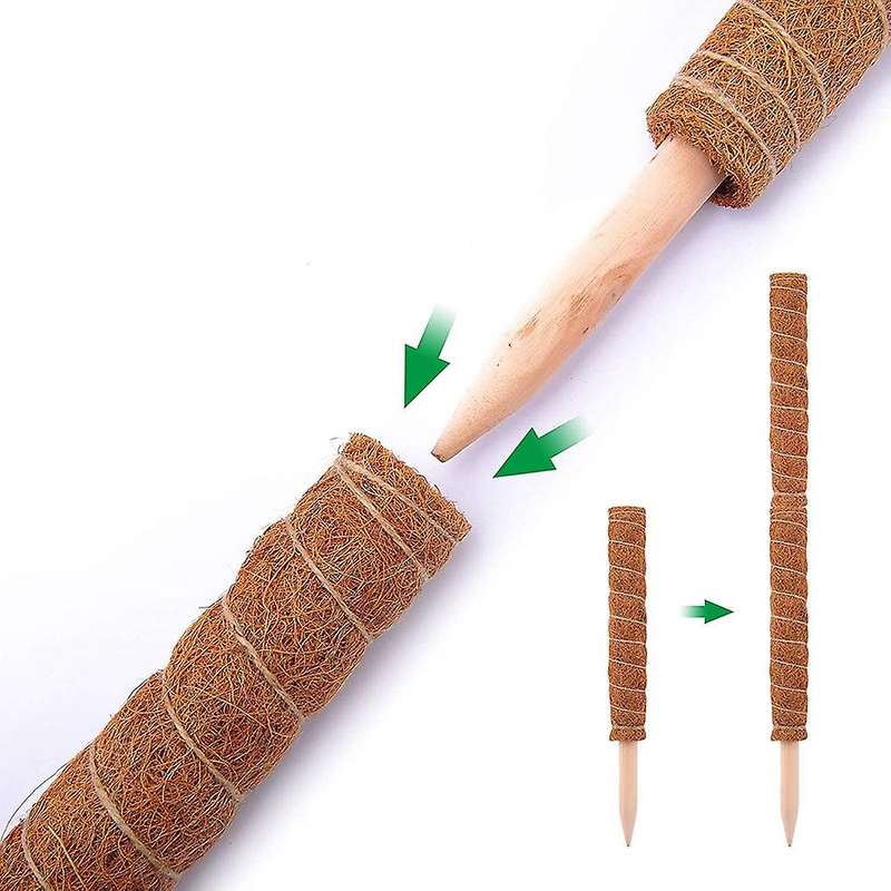 4 Pcs Green Dill Potted Plant Climbing Pole Coconut Palm Stick