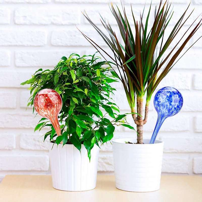 4pcs Glass Watering Globes, for Indoor Outdoor Garden Potted Plants