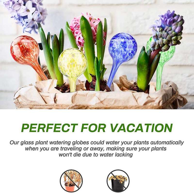 4pcs Glass Watering Globes, for Indoor Outdoor Garden Potted Plants
