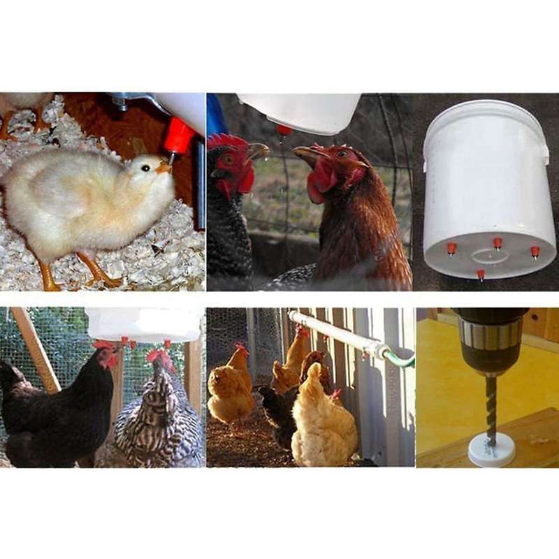 50pcs Poultry Chicken Nipple Drinker Spring Type with Automatic Water